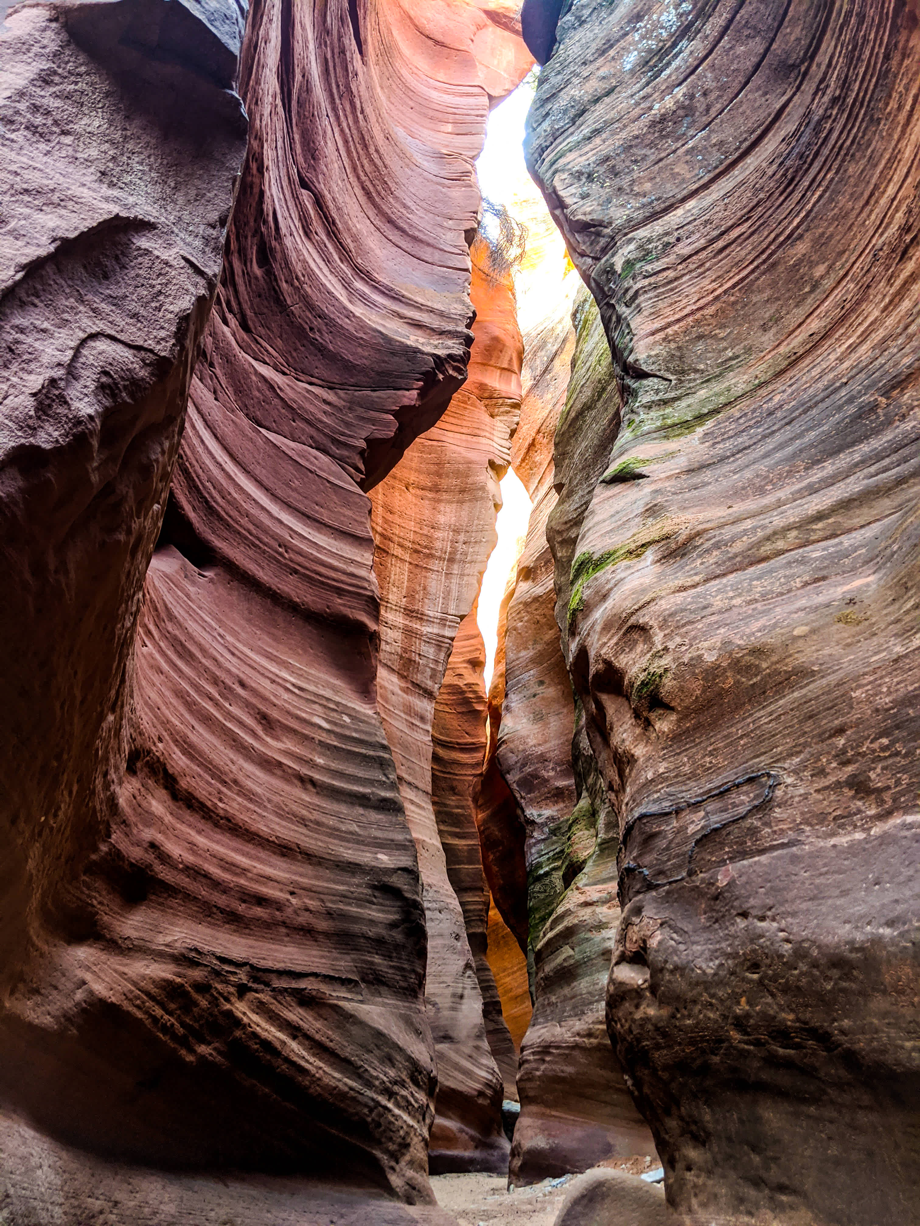Zion-Canyoneering-1