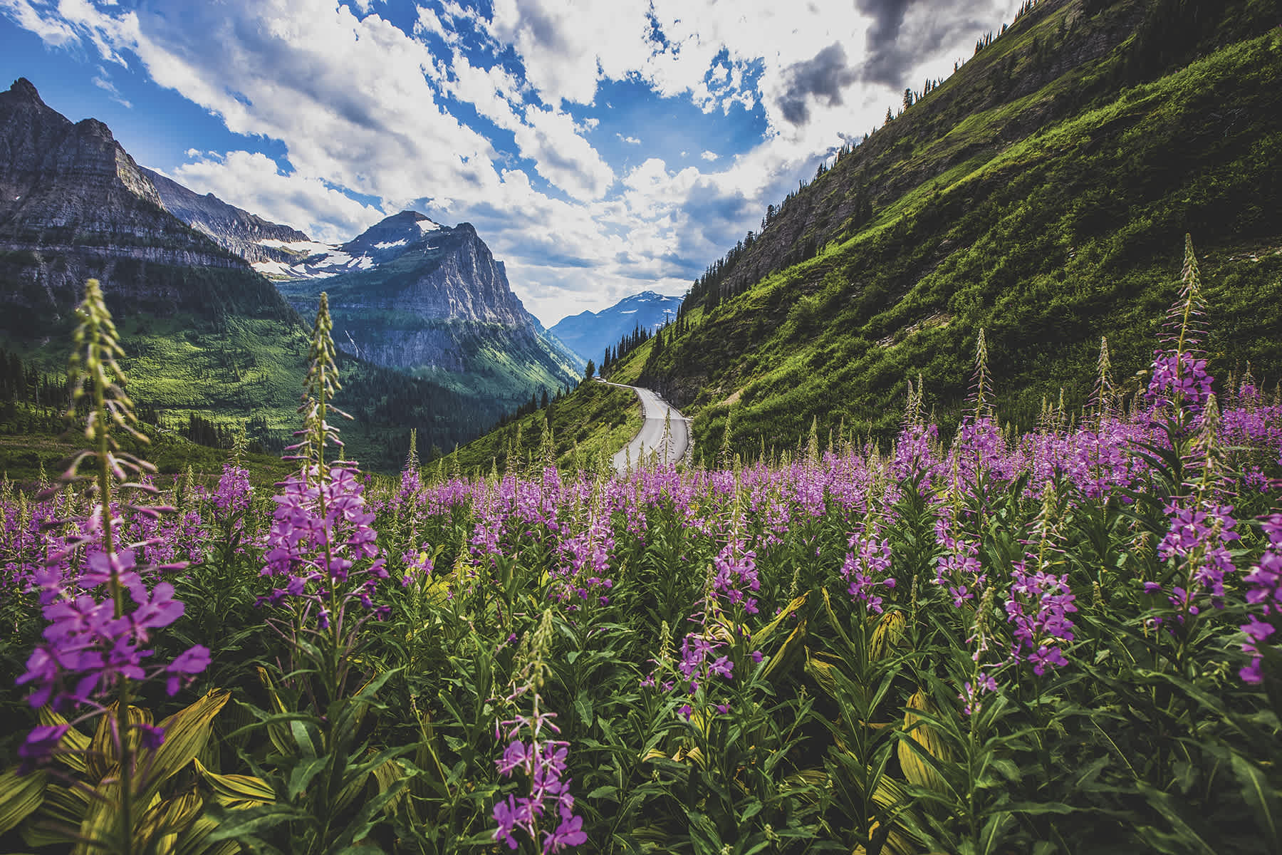glacier-national-park-3