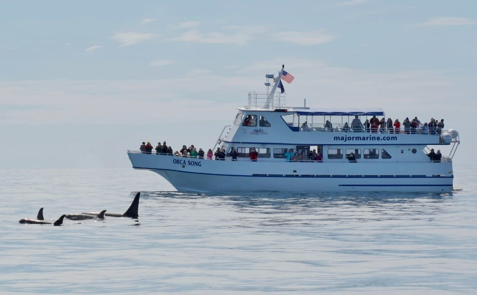 Screenshot-2024-02-23-135548