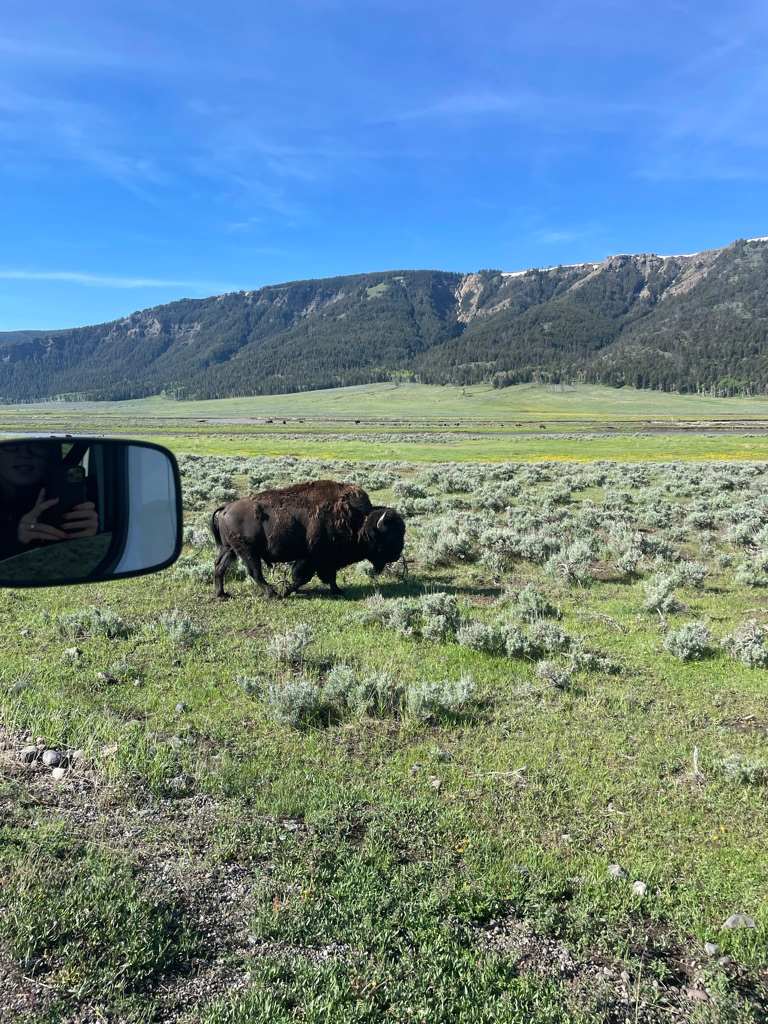 1CA0C36F-11F8-4911-8FC9-47DCB21A9012_1_105_c