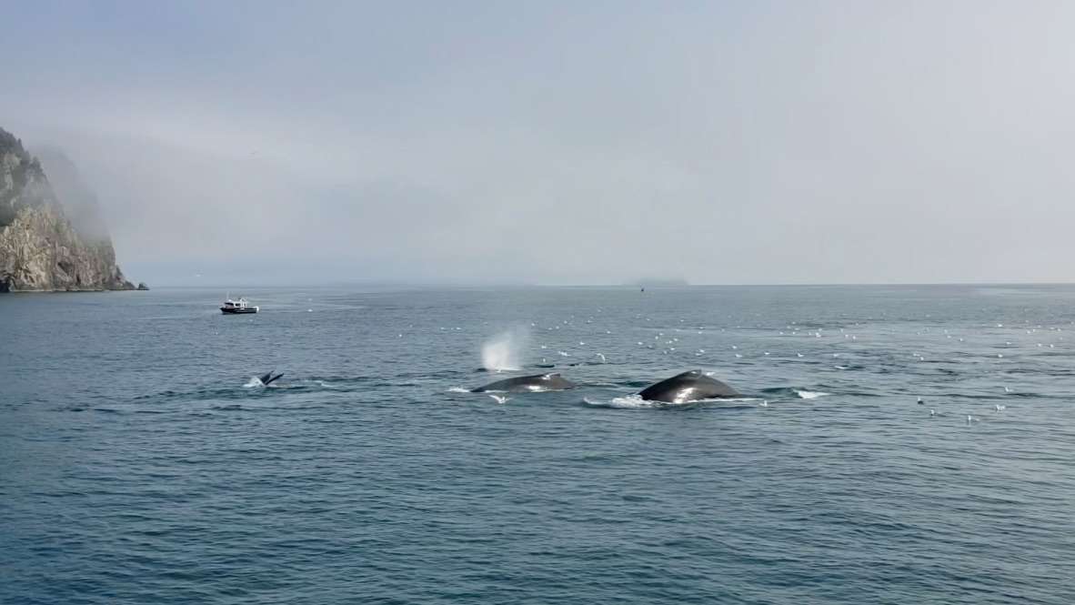 UNADJUSTEDNONRAW_thumb_2983