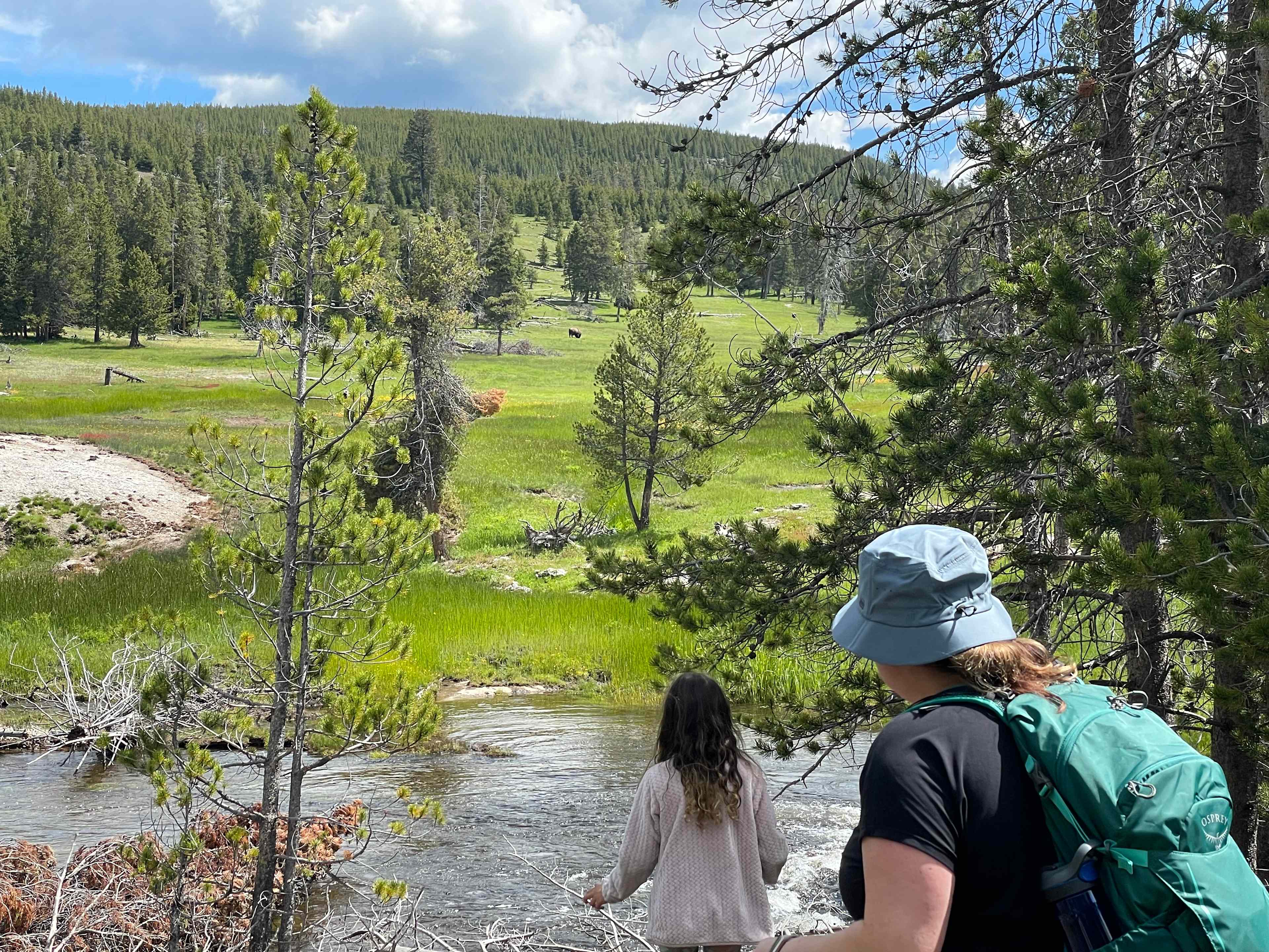 A43A805E-DAB8-4CA4-9F39-3A1E80DD5361