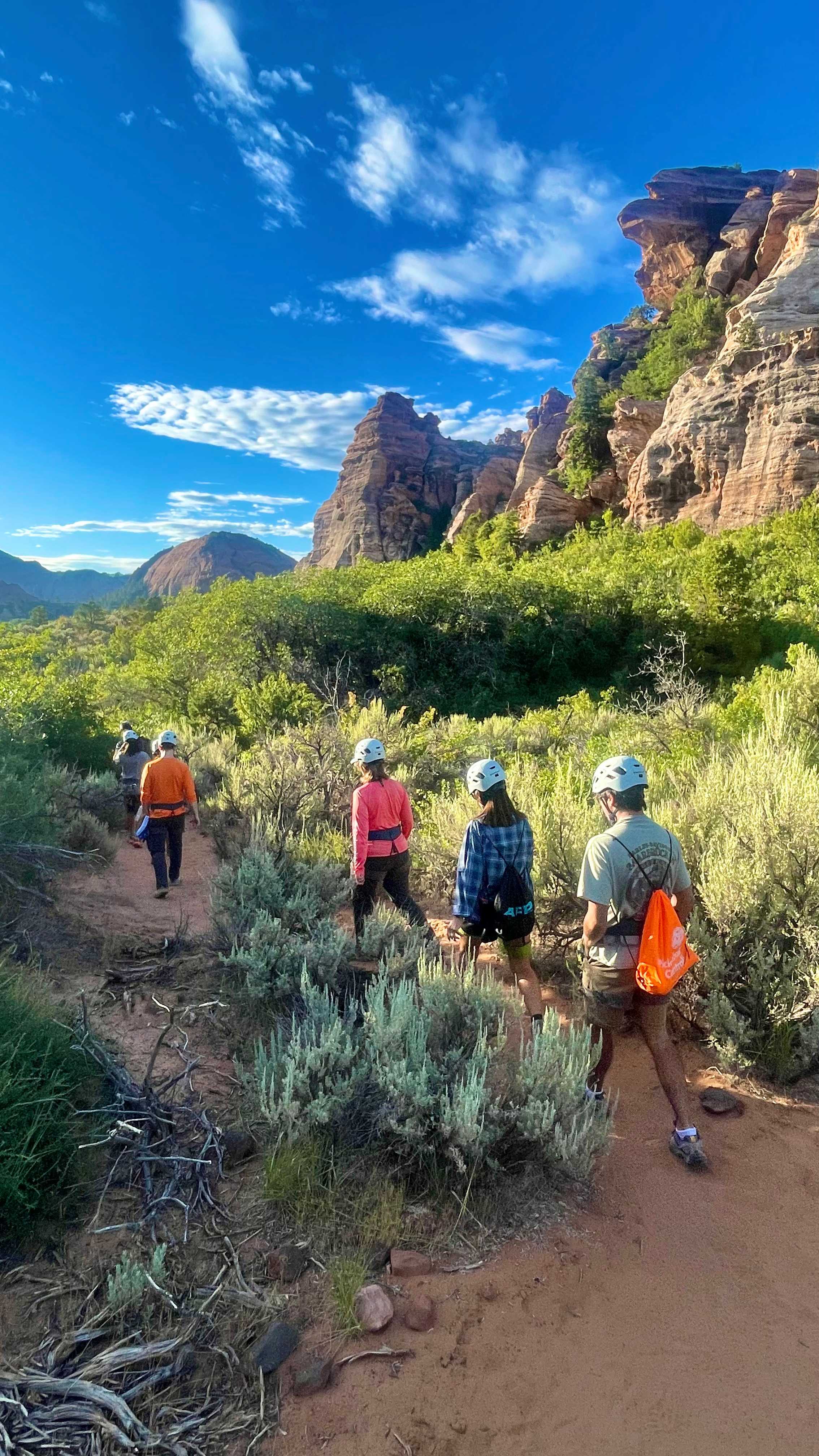 AFD5DB71-6A12-4128-BCCA-9EE78CB19AE2