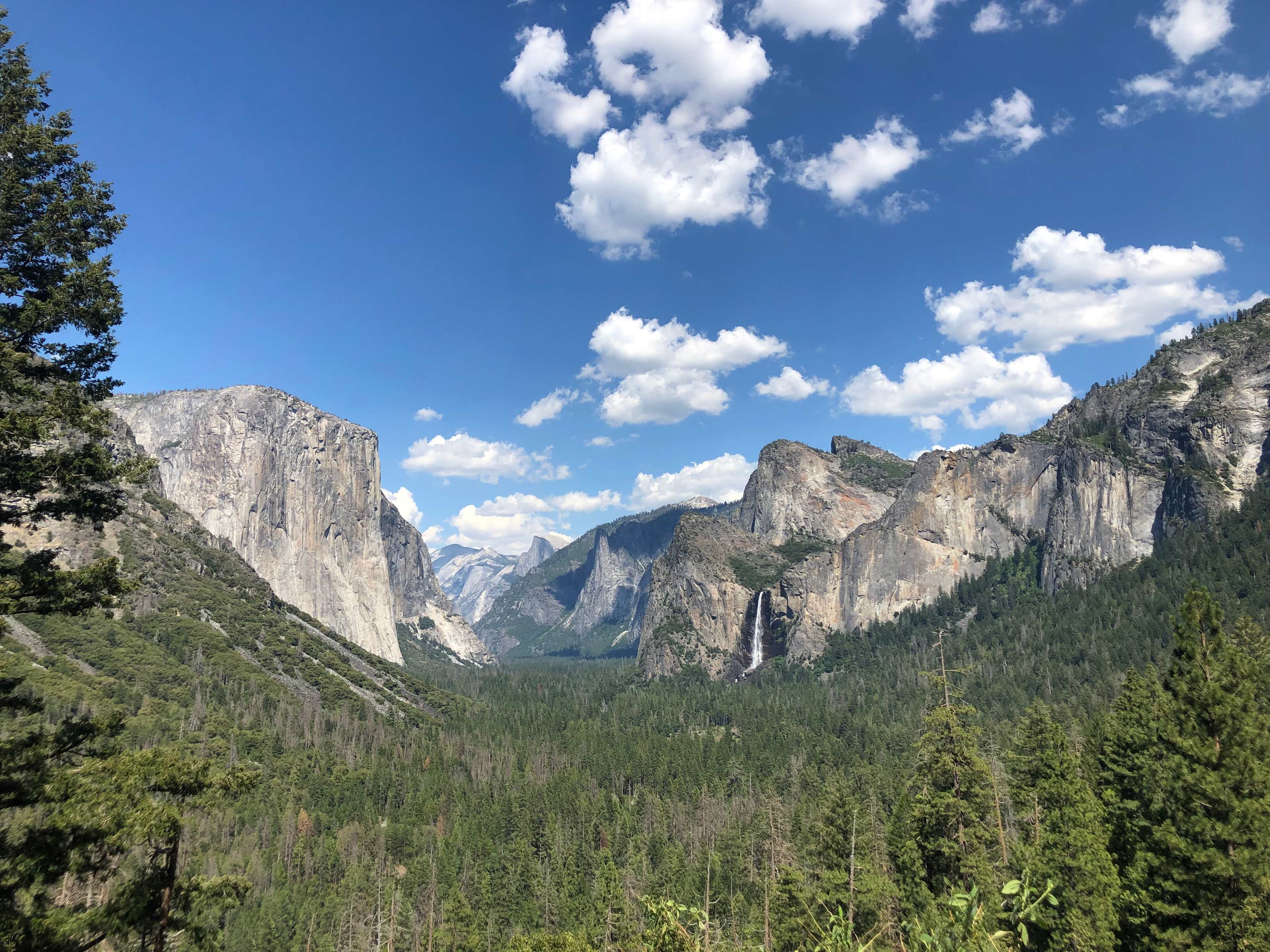 yosemite-adventure-tour-5