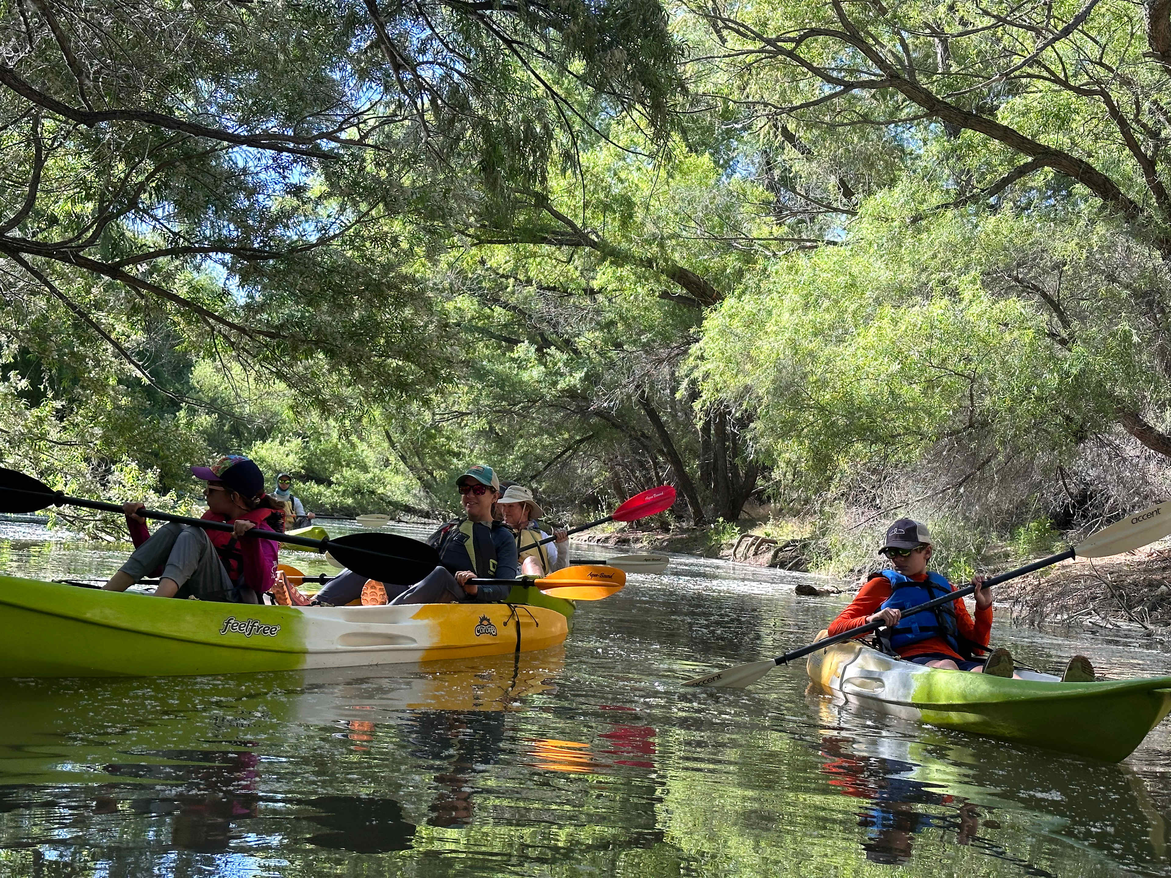 ED537C8B-5276-498C-9BC9-86CFA7024441