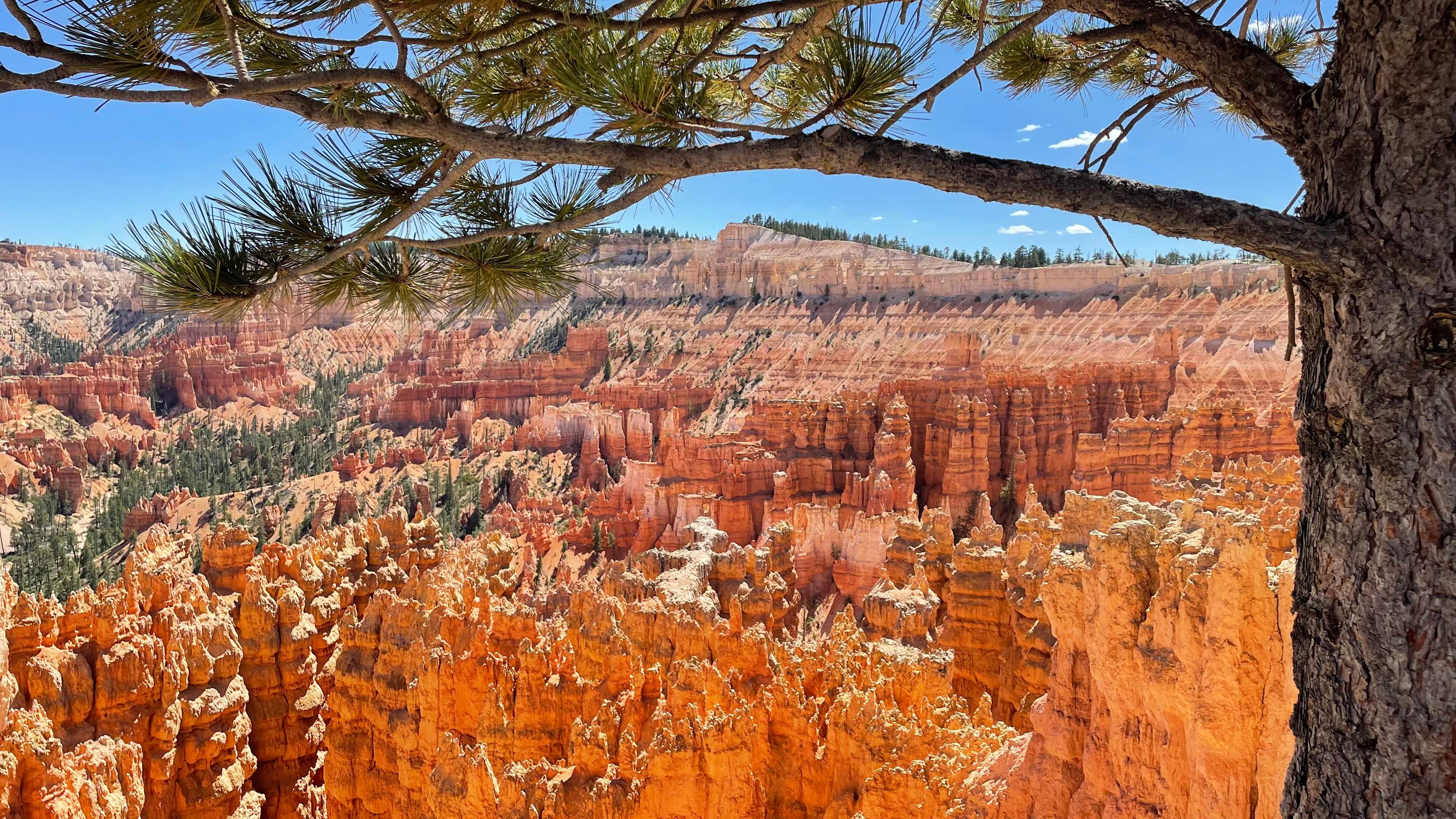 CD56BC80-34E1-4067-9996-1452231E6D47