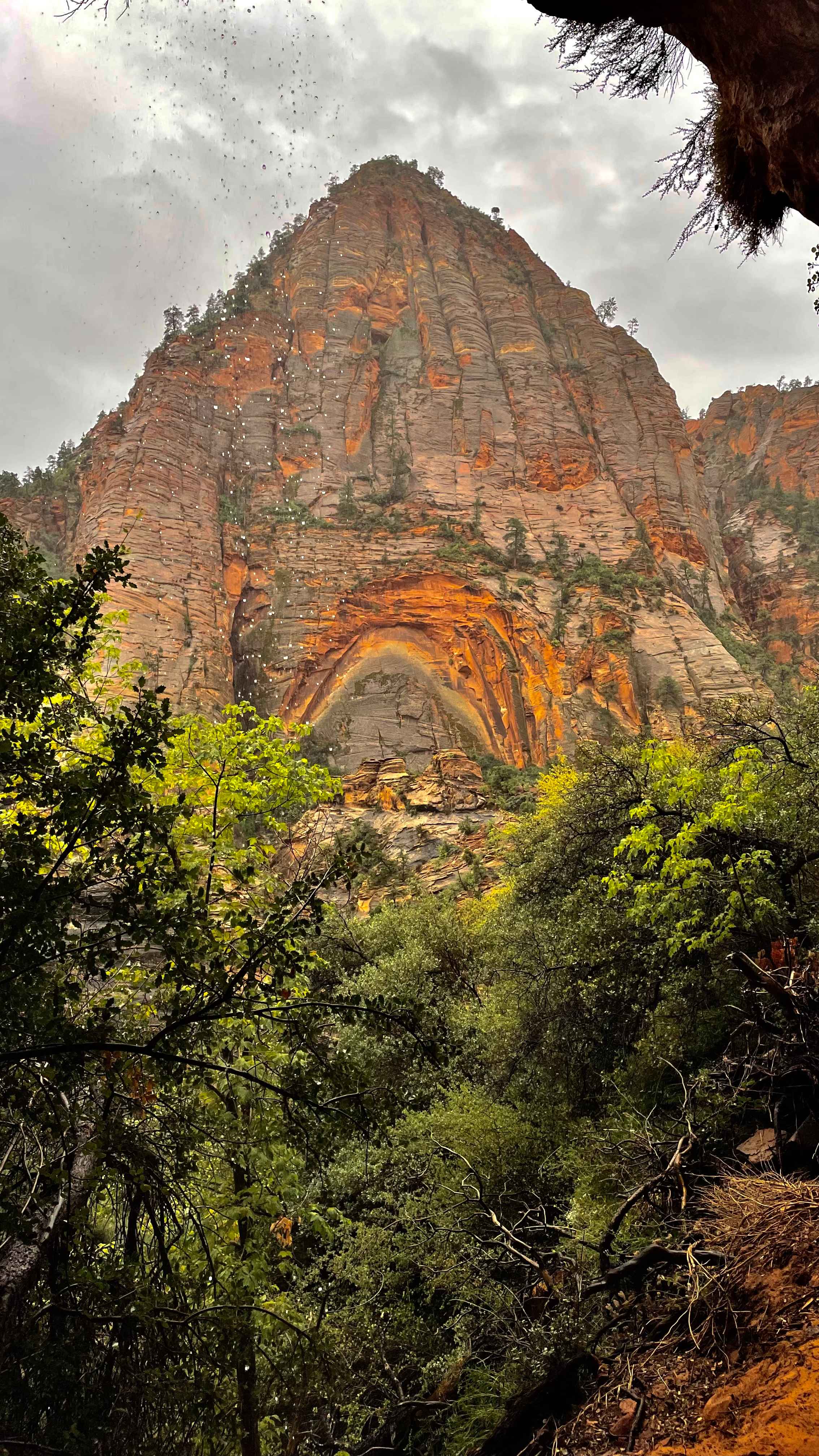 46E932D9-90F0-4C45-A539-B40C8D1D07C5