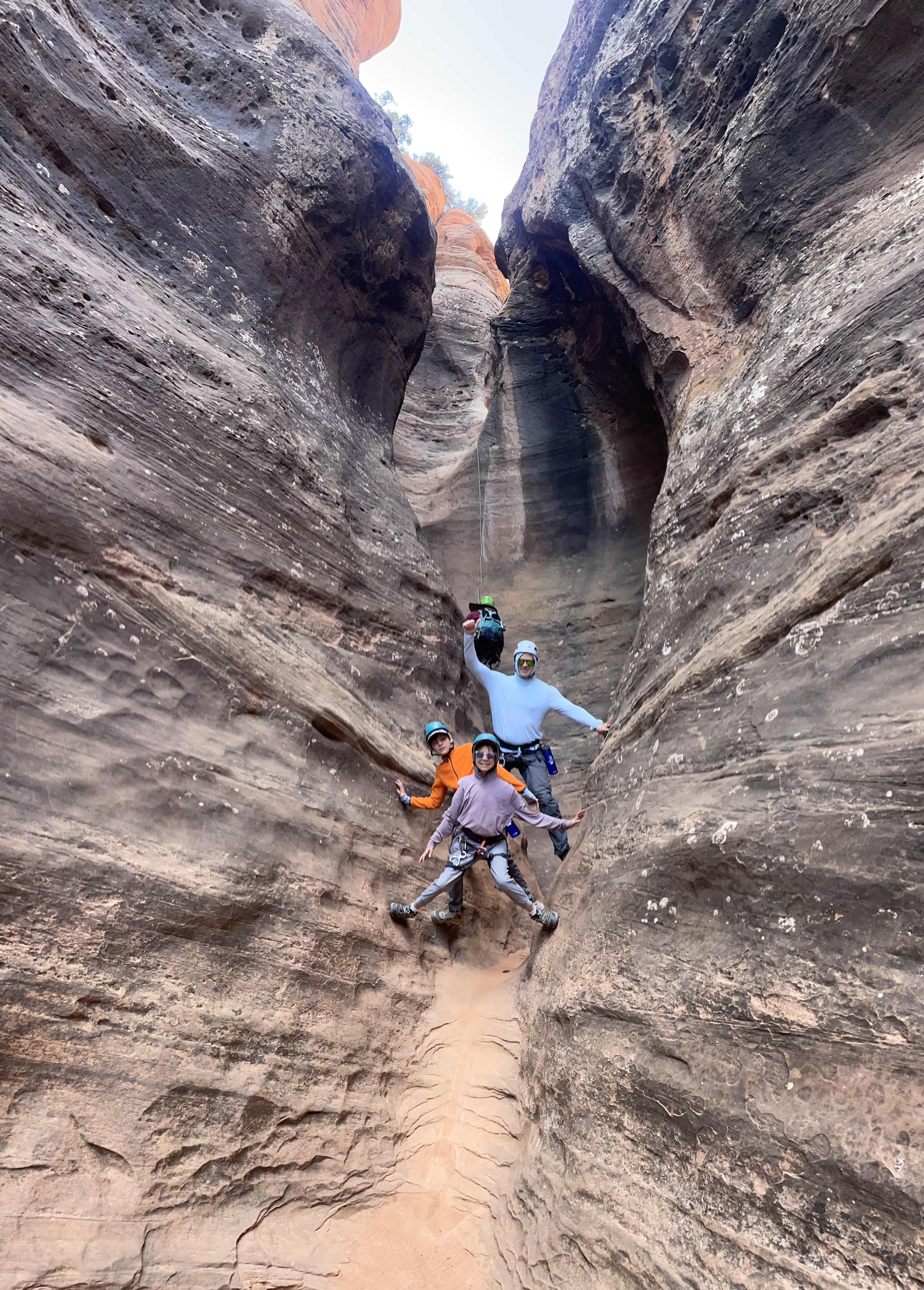 00BE769E-A045-40F9-8EF3-B6FDA804F36A