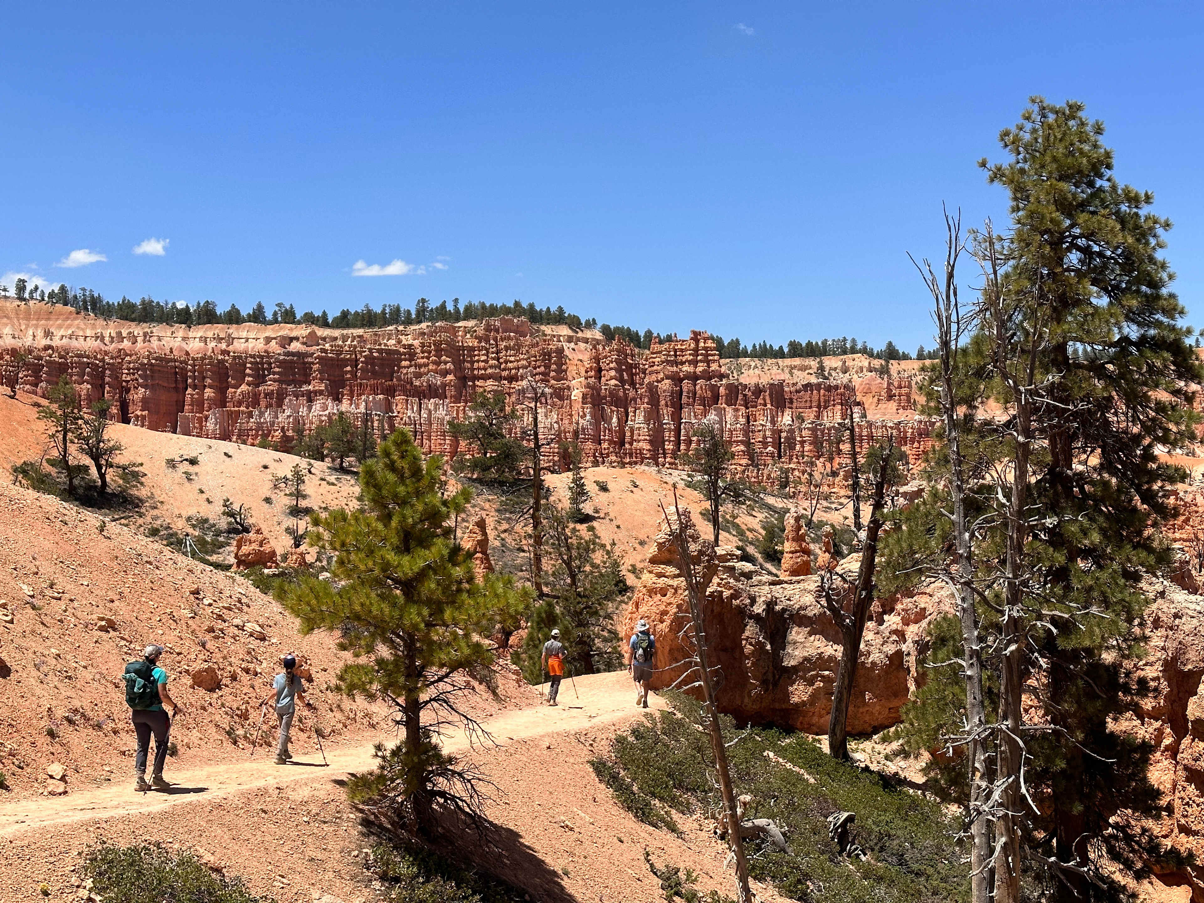 0856A2B1-2F06-44E6-A9CC-75D248D59E0B