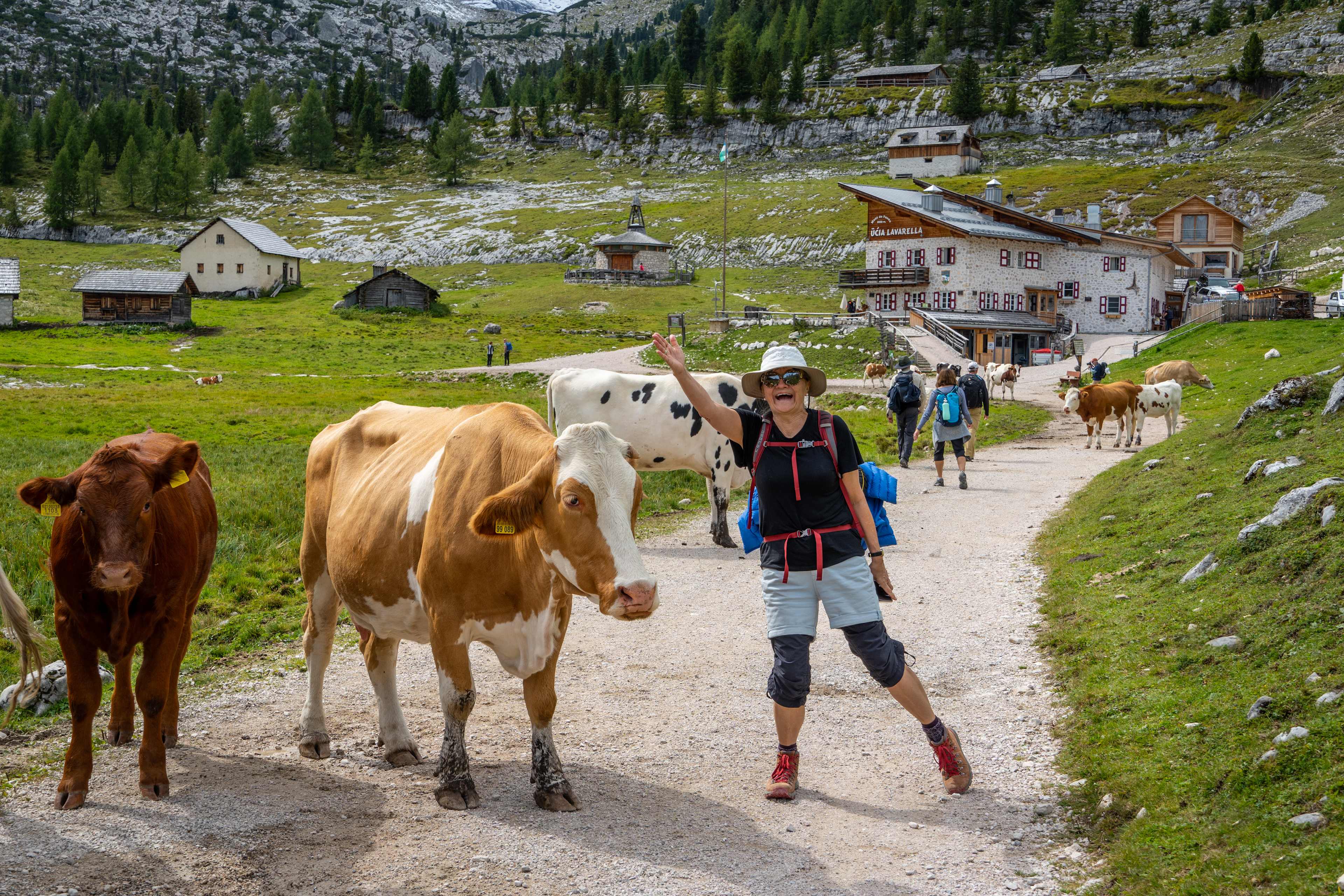 assets_images_phocagallery_dolomiti-1-september-201116-stan-jacobson-3_under-20-5