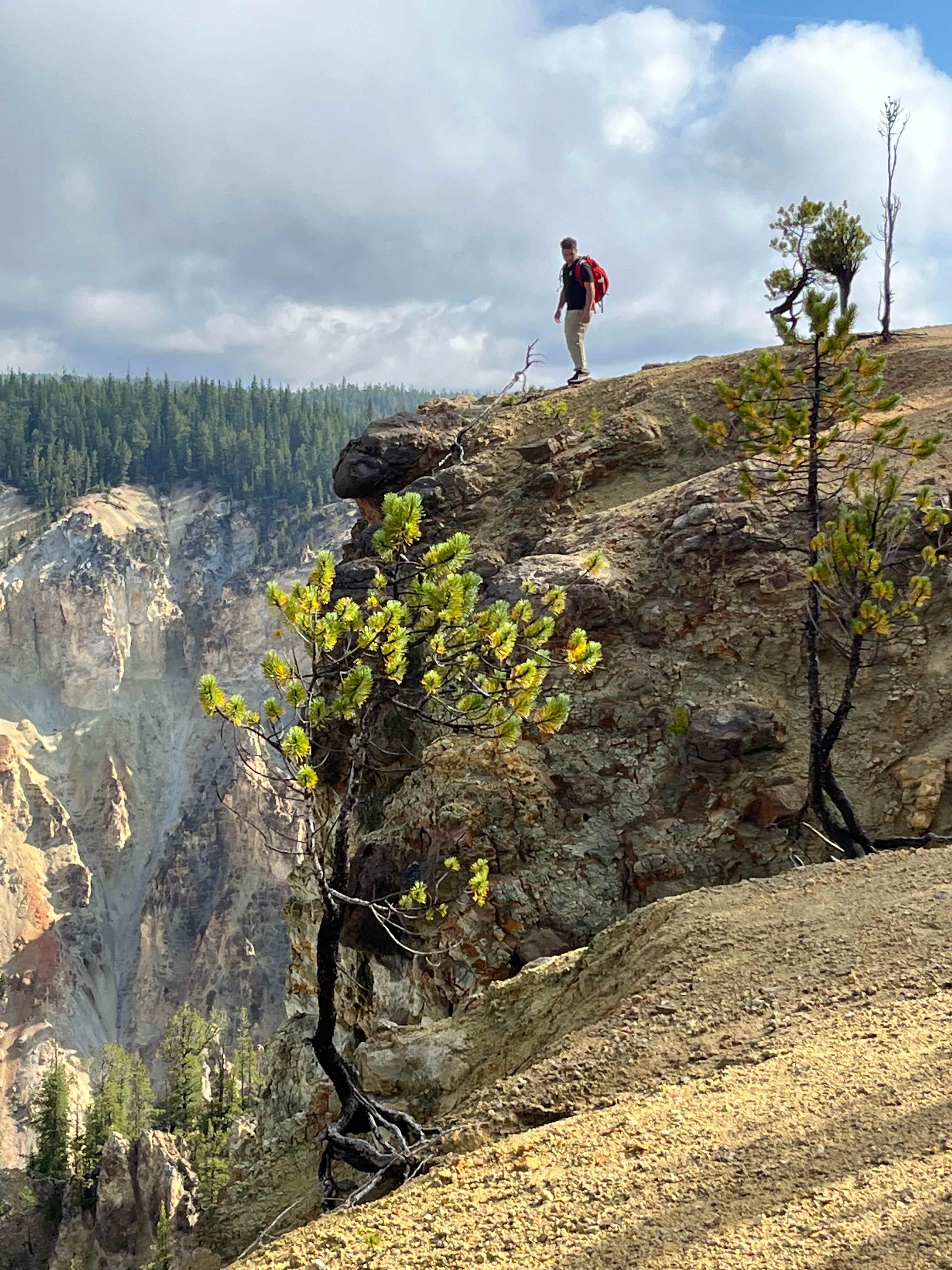 6AB6E2CD-C53E-472B-9C2E-62FDB680CF96