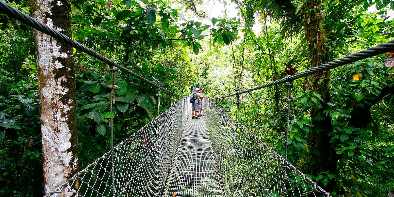 The Best Time to Visit Costa Rica