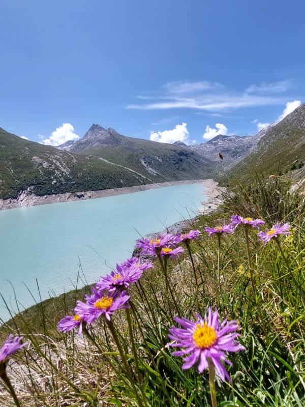 Italian-Swiss-Alps-hiking-3