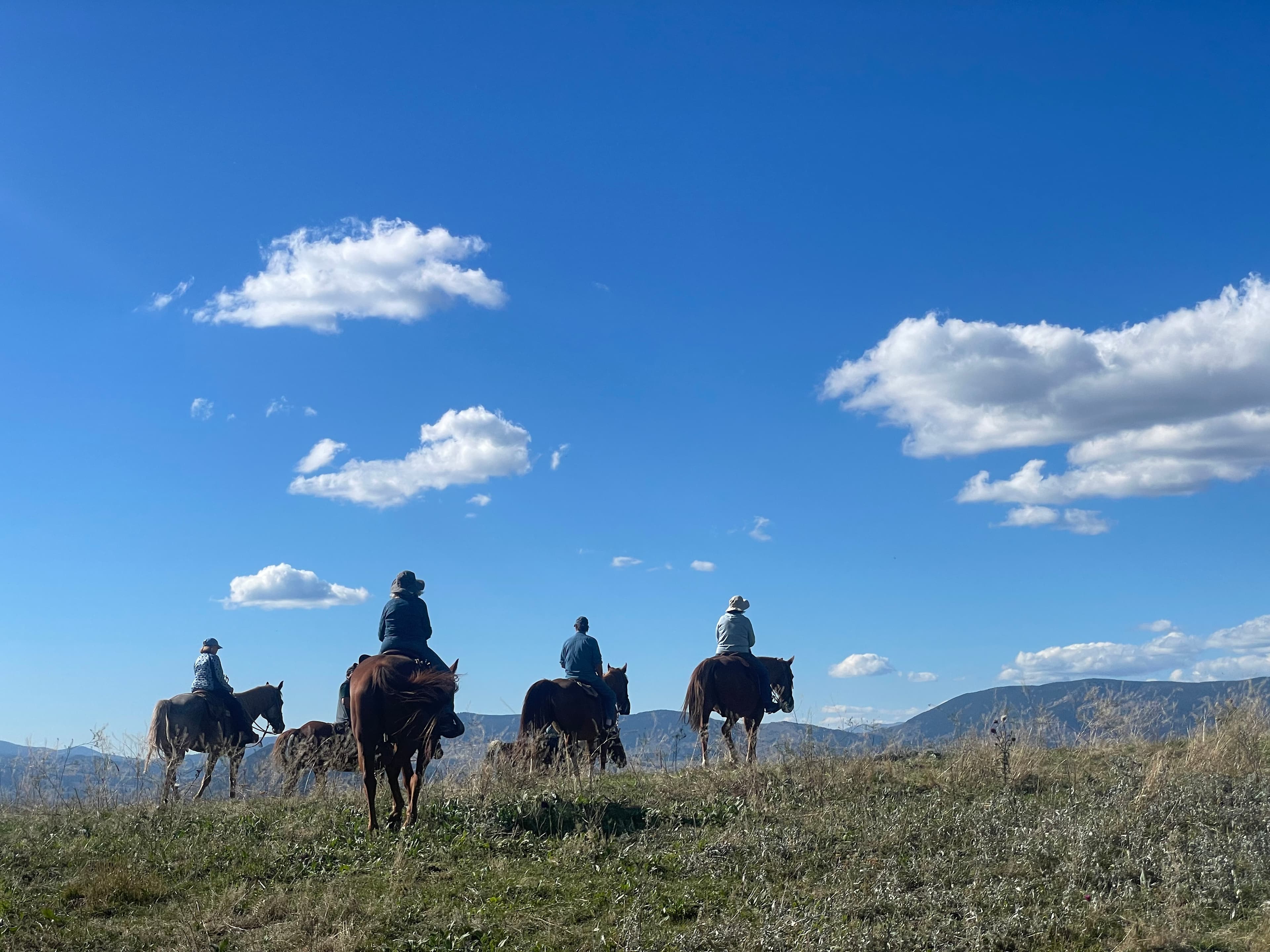 9D8024F0-A5CC-48EF-A7E8-E594986D7CAB