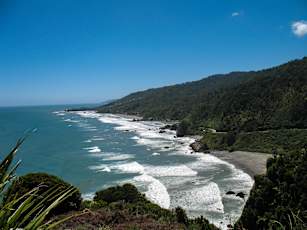 NZ_Kiwi-14
