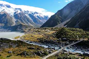 NZ_Kiwi-21