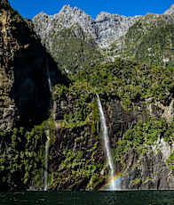 NZ_Kiwi-5