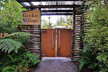 Rainforest-retreat-gecko-lodge