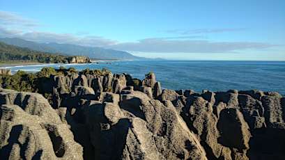 NZ_Winter_Rimu-13