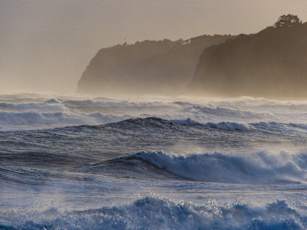 NZ_Winter_Rimu-2