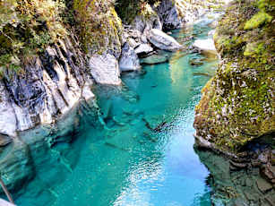 NZ_Winter_Rimu-23