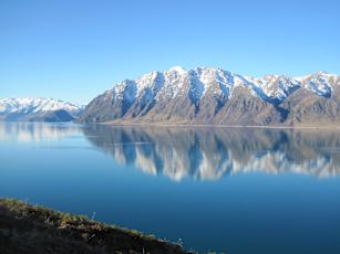 NZ_Winter_Rimu-30