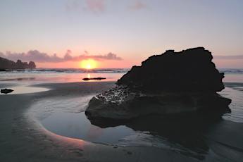 NZ_Winter_Rimu-31