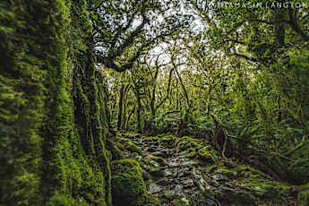 Tamasin-Langton-Photography-38-1