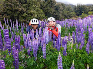 NZ_Weka-10