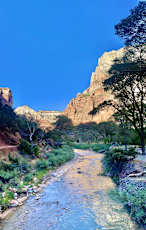 43274331-0CC3-49A0-832E-83F99E7C594E