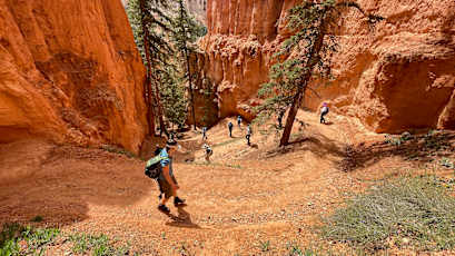 83996EEC-FA18-40F2-8516-4026D5EB0587