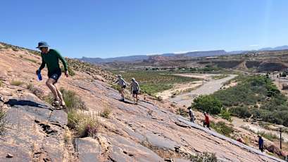 91525C0C-FFC5-4378-9428-0A60F6511BC8