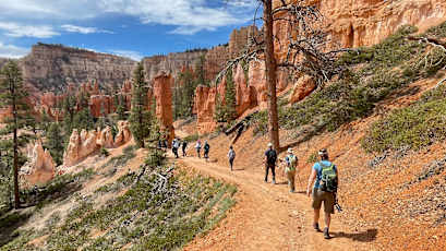 B89EF5C2-33F5-4429-A5B0-5EFF1E9E49D5