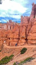 C65C8A34-2F66-4157-BE91-FC46A24AC3C4