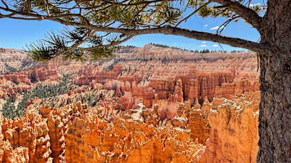 CD56BC80-34E1-4067-9996-1452231E6D47