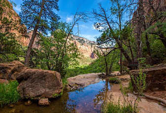 Zion-natinal-park-626x427