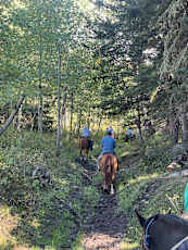 01B69550-AB49-4488-956F-4026026800C1