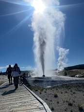 24522D43-37F9-4ED5-8AA3-A3ECECADF1D5