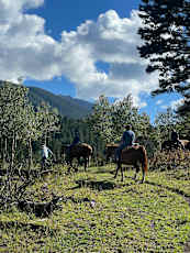 3925964E-4B89-4060-BB32-80C4BB6E43A4