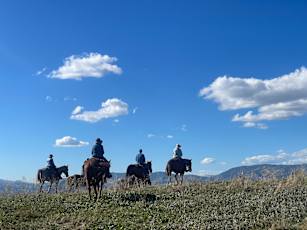 9D8024F0-A5CC-48EF-A7E8-E594986D7CAB