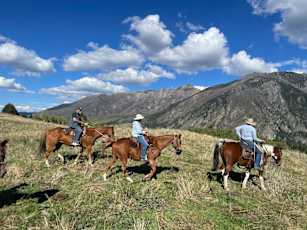 C5F747E7-C407-4180-A5E4-A2F2FF03D709