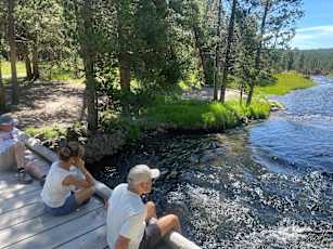 D9654917-BEE7-408B-929F-86BA7168B091