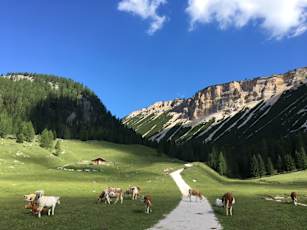 EU_Dolomiti-17