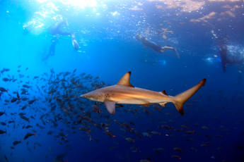 galapagos-islands-adventure-1