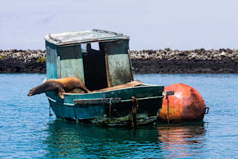 SA_Tortuga-17