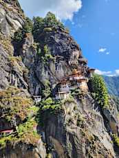 IMG-20231215-WA0000