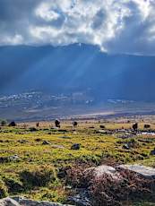 IMG-20231215-WA0018-v2