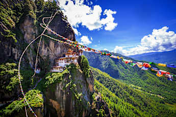 Tigers-Nest