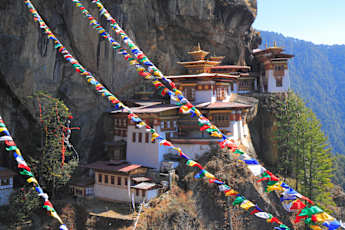 Birds-Nest-Bhutan