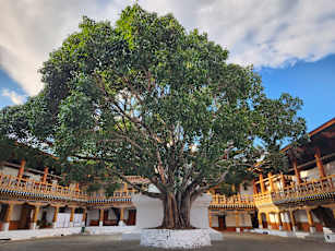 IMG-20231215-WA0013